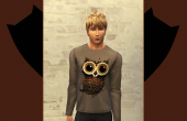 Modern Owl - 1