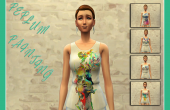 Peplum painting - Collection complte