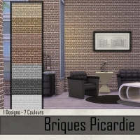 Briques Picardie  Marron Fonc