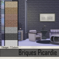 Briques Picardie Gris foncé
