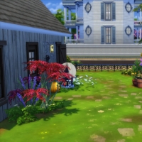 Jardin arrière