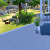 Terrasse arrière