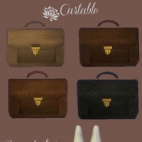 Cartable-Bonnet-d'âne