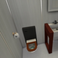 Agapanthe  WC étage
