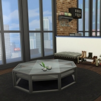 Penthouse l'Indus Entrée piece à  vivre 1