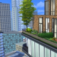 Penthouse l'Indus jardin entrée