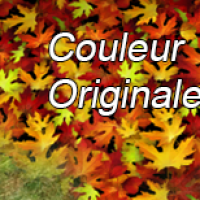 feuille d'automne version s2 2