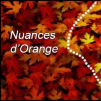 feuille d'automne version s3 2