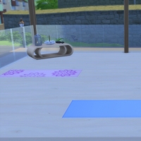 Spa du Lotus Blanc - l'espace yoga