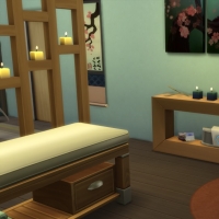 Spa du Lotus Blanc - le cabinet de soins ayurvédiques - espace massage - vue 2