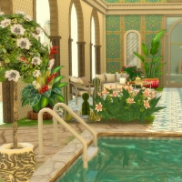 Palais Albina Jardin arrière 4