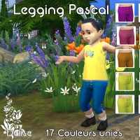 legging uni pascal