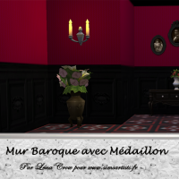 Déclinaison rouge et noire