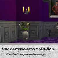 Déclinaison violette et grise
