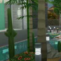 Jardin arrière vue 4