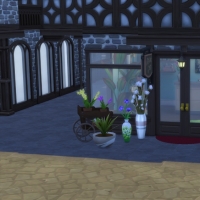 Magasins de Windenburg - Fleuriste - devanture