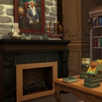 Magasins de Windenburg - Librairie - étage - vue 1