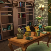 Magasins de Windenburg - Librairie - étage - vue 2