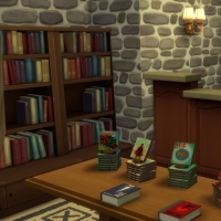 Magasins de Windenburg - Librairie - rez-de-chaussée