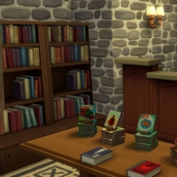 Magasins de Windenburg - Librairie - rez-de-chausse