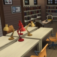 Espace adultes - bureaux et bibliothèques