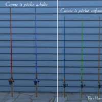 Cannes-à -pêche