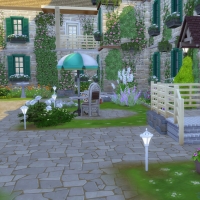 Campanule Jardin entrée