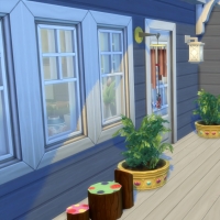 Blue - terrasse de l'étage - les plantes