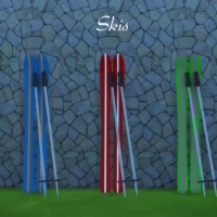 Skis