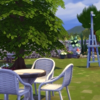 Bruyère jardin 5