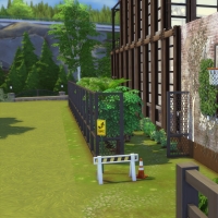 Chelsea Vue coté potager 2