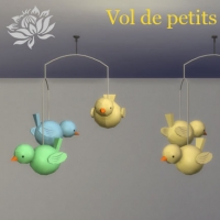 Vol-de-petits-poussins