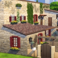 Azucena extérieur 11