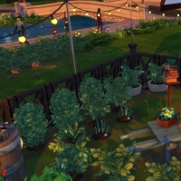 La Grange Revisitée 21
