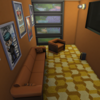 Salle de jeux vidéo/cinéma