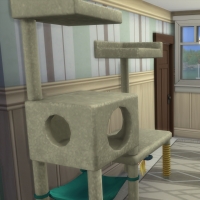 Appartement - entrée