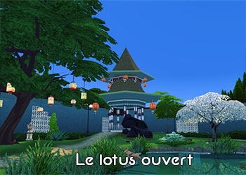 Le lotus ouvert