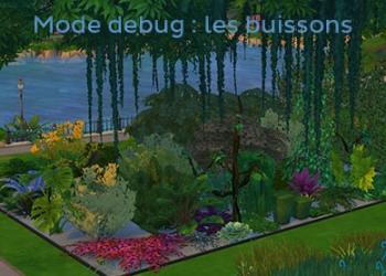 Les arbustes du mode debug