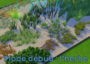 L'herbe du mode debug