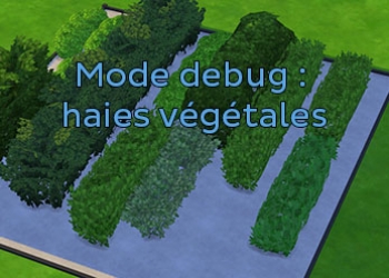 Les haies végétales du mode debug