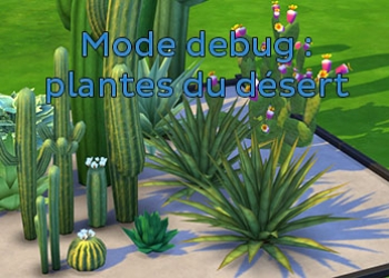 Les plantes désertiques du mode debug