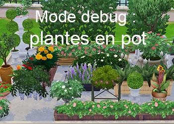 Les plantes en pot du mode debug