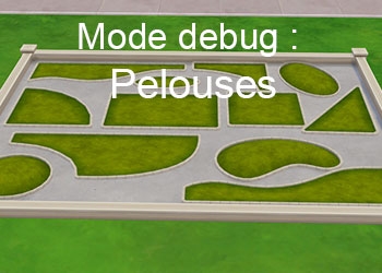 Les morceaux de pelouse du mode debug