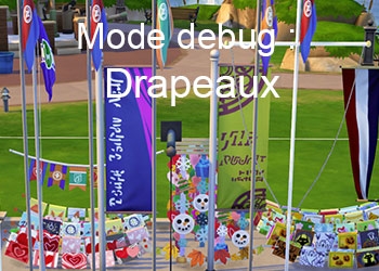 Les drapeaux du mode debug