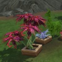 Home Witch Home - Plantes et animaux étranges