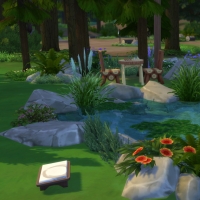 La caravane de Granite Falls - la mare