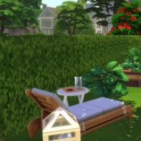 Une vie à deux - table de composition florale et coin potager