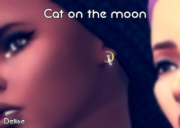 Boucles Cat on the Moon