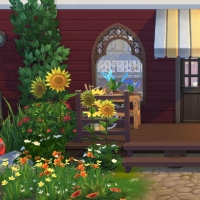 7 tournesol entrÃ©e