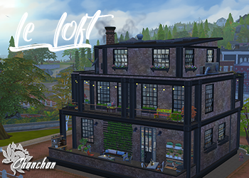 Défi Loft pour Juliette